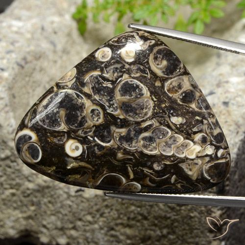 41.13ct Naturale Multicolore Diaspro, Taglio trillion, Opaco