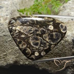 Diaspro Multicolore naturale da 41.13 ct, Taglio trillion, Opaco