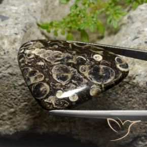 Diaspro Multicolore naturale da 41.13 ct, Taglio trillion, Opaco