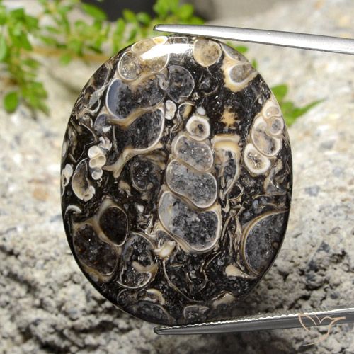 34.14ct Naturale Multicolore Diaspro, Ovale, Opaco
