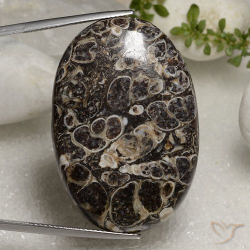 50.37ct Naturale Multicolore Diaspro, Ovale, Opaco