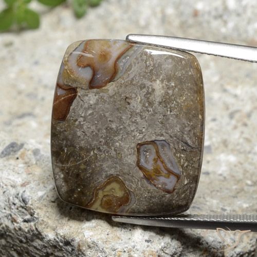 18.40ct Naturale Multicolore Diaspro, Cuscino, Opaco