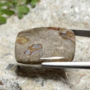 Diaspro Multicolore naturale da 18.40 ct, Cuscino, Opaco