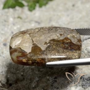 Diaspro Multicolore naturale da 26.06 ct, Cuscino, Opaco