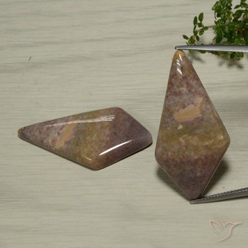 Gemme di Diaspro Multicolore naturale da 48.56 ct, Taglio a fantasia, Opaco