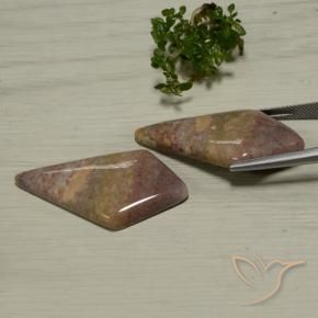 Gemme di Diaspro Multicolore naturale da 48.56 ct, Taglio a fantasia, Opaco