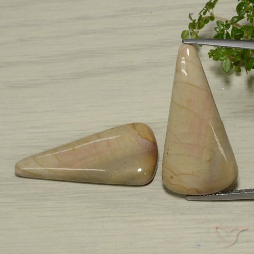 28.03ctw Naturale Multicolore Diaspro, Taglio trillion, Opaco