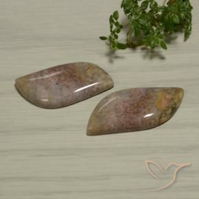 Gemme di Diaspro Multicolore naturale da 28.77 ct, Taglio a fantasia, Opaco