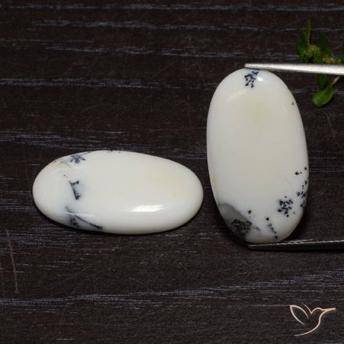 18.19ctw Naturale bianco con nero Diaspro, Ovale, Opaco