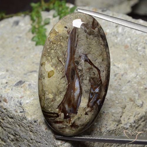 46.39ct Naturale Multicolore Diaspro, Ovale, Opaco