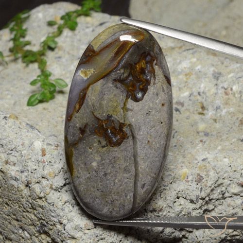 46.39ct Naturale Multicolore Diaspro, Ovale, Opaco