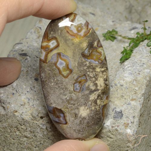 76.29ct Naturale Multicolore Diaspro, Ovale, Opaco