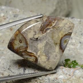 Diaspro Multicolore naturale da 28.71 ct, Taglio trillion, Opaco