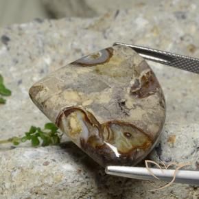 Diaspro Multicolore naturale da 28.71 ct, Taglio trillion, Opaco