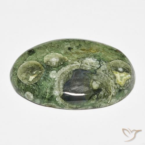 Diaspro Multicolore naturale da 19.43 ct, Ovale, Opaco