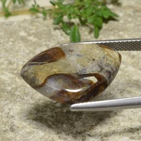 Diaspro Multicolore naturale da 9.97 ct, Taglio trillion, Opaco