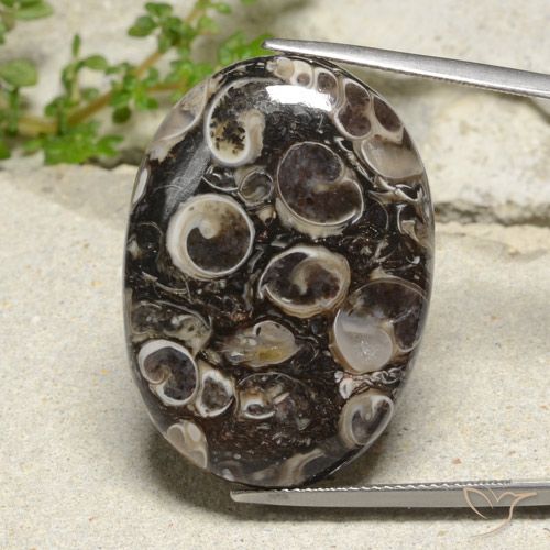 35.02ct Naturale Multicolore Diaspro, Ovale, Opaco