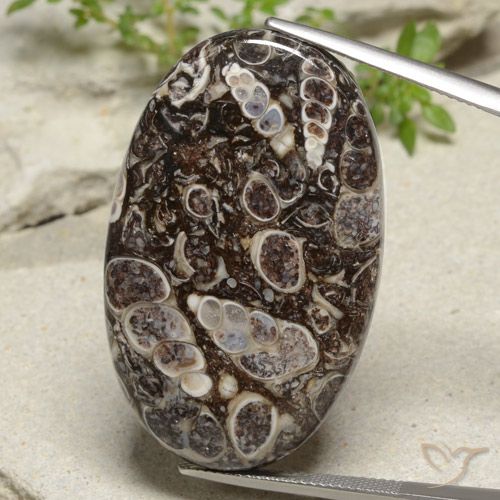 43.97ct Naturale Multicolore Diaspro, Ovale, Opaco