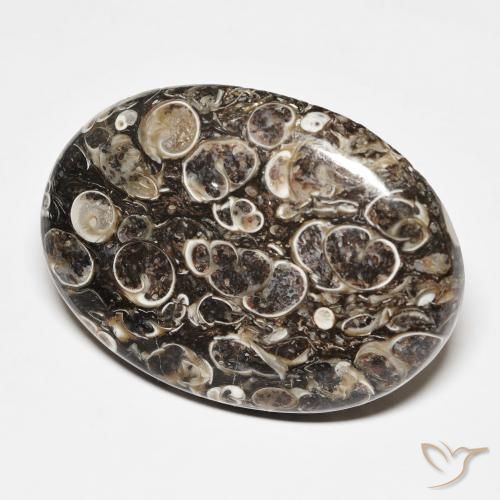 Diaspro Multicolore naturale da 45.70 ct, Ovale, Opaco