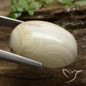 Diaspro Multicolore naturale da 18.89 ct, Ovale, Opaco