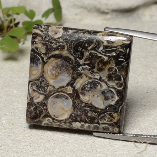 30.08ct Naturale Multicolore Diaspro, Quadrato, Opaco