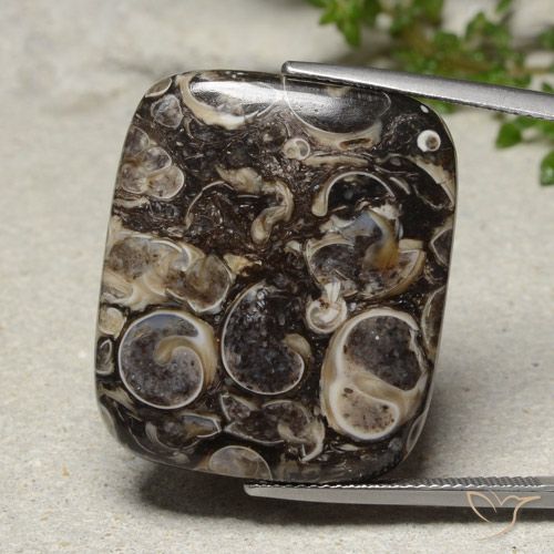 33.41ct Naturale Multicolore Diaspro, Cuscino, Opaco