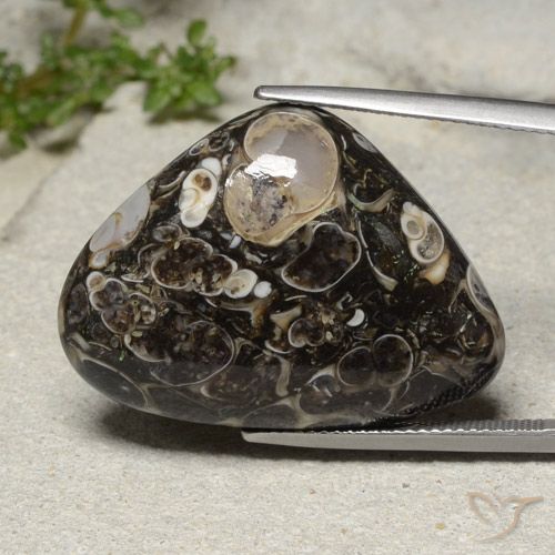 31.57ct Naturale Multicolore Diaspro, Forma a pera, Opaco