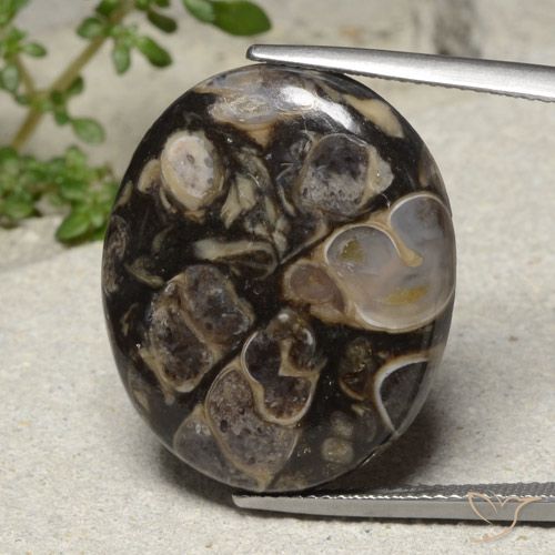 21.18ct Naturale Multicolore Diaspro, Ovale, Opaco