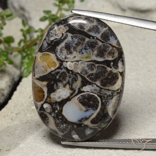 31.02ct Naturale Multicolore Diaspro, Ovale, Opaco