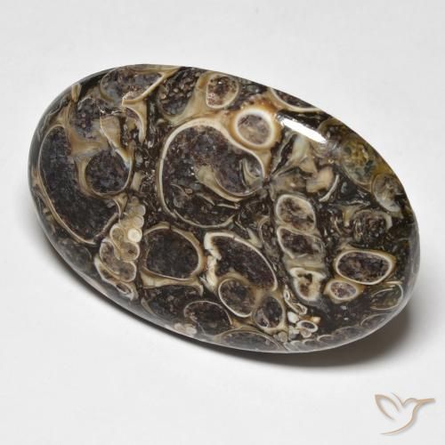 Diaspro Multicolore naturale da 37.39 ct, Ovale, Opaco