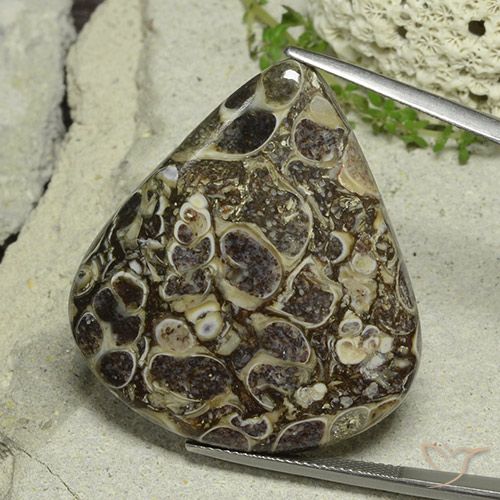 Diaspro Multicolore naturale da 46.19 ct, Forma a pera, Opaco