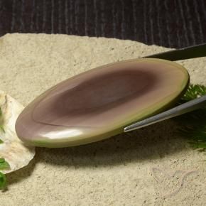 Diaspro Multicolore naturale da 91.61 ct, Ovale, Opaco