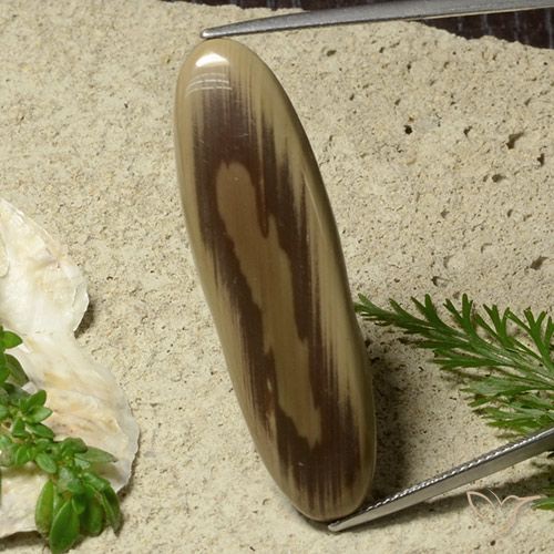 26.40ct Naturale Multicolore Diaspro, Ovale, Opaco