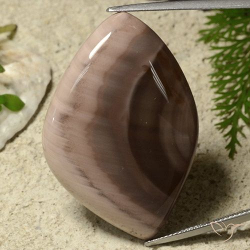 55.75ct Naturale Multicolore Diaspro, Taglio a fantasia, Opaco