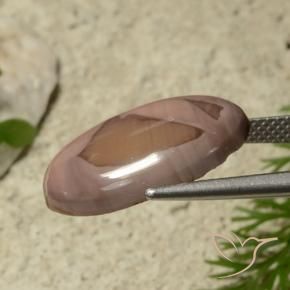 Diaspro Multicolore naturale da 9.20 ct, Ovale, Opaco