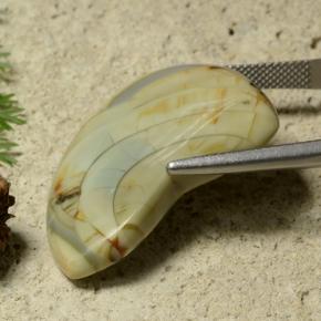 Diaspro Multicolore naturale da 25.50 ct, Forma fantasia, Opaco