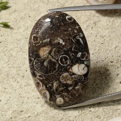 31.54ct Naturale Multicolore Diaspro, Ovale, Opaco