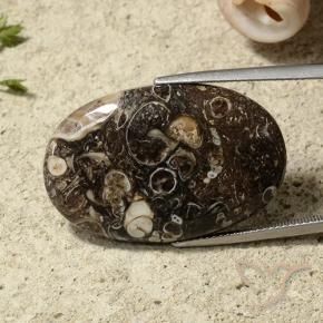 Diaspro Multicolore naturale da 31.54 ct, Ovale, Opaco