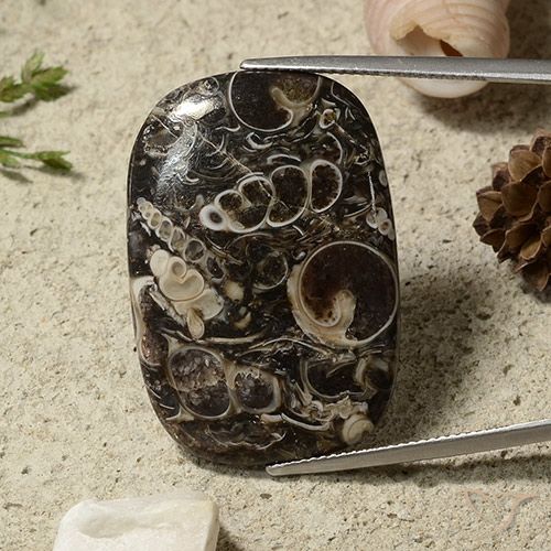 35.69ct Naturale Multicolore Diaspro, Cuscino, Opaco