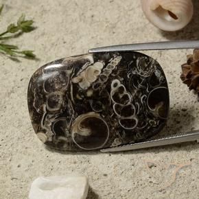 Diaspro Multicolore naturale da 35.69 ct, Cuscino, Opaco