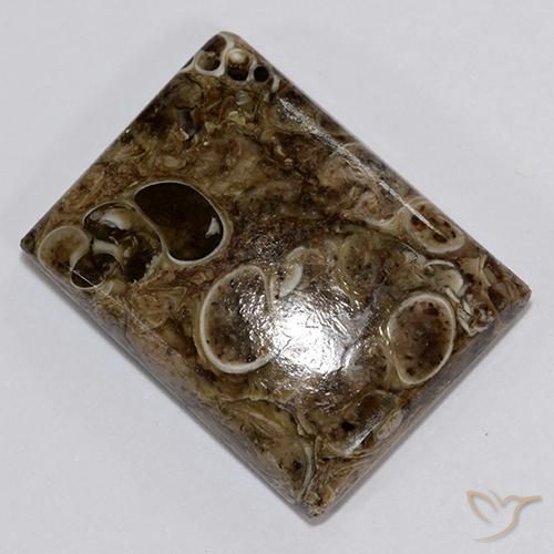 18.34ct Naturale Multicolore Diaspro, Taglio a baguette, Opaco