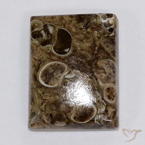 Diaspro Multicolore naturale da 18.34 ct, Taglio a baguette, Opaco