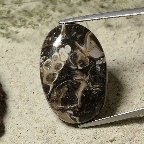 22.52ct Naturale Multicolore Diaspro, Ovale, Opaco