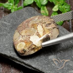 Diaspro Multicolore naturale da 17.47 ct, Taglio a fantasia, Opaco