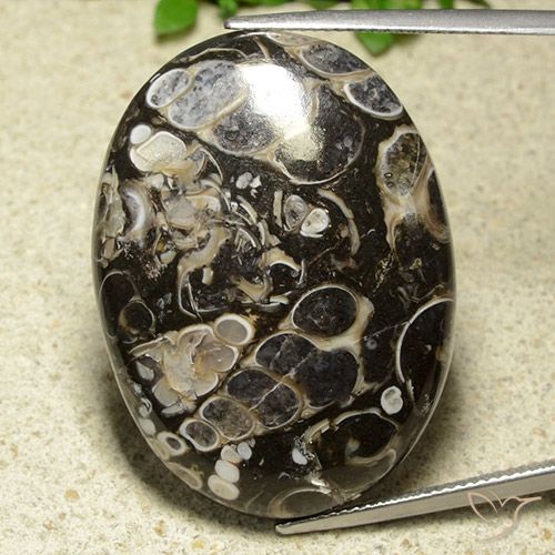 43.81ct Naturale Multicolore Diaspro, Ovale, Opaco