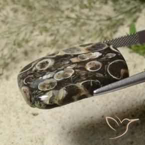 Diaspro Multicolore naturale da 34.23 ct, Cuscino, Opaco