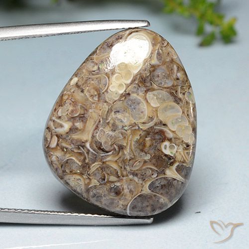 20.52ct Naturale Multicolore Diaspro, Taglio a fantasia, Opaco