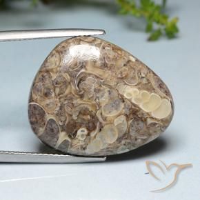 Diaspro Multicolore naturale da 20.52 ct, Taglio a fantasia, Opaco