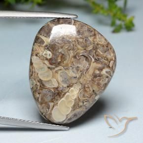 Diaspro Multicolore naturale da 20.52 ct, Taglio a fantasia, Opaco