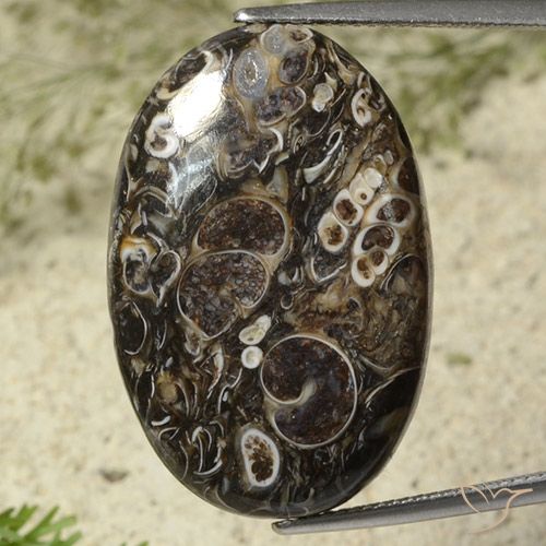 28.41ct Naturale Multicolore Diaspro, Ovale, Opaco